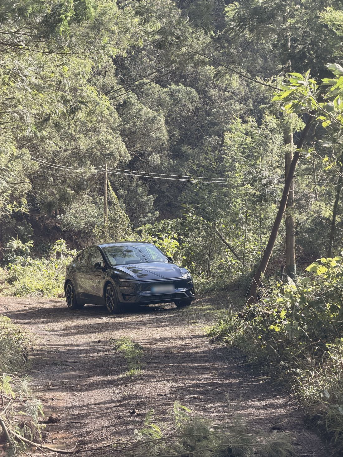 The Tesla on a dirt road in the laurel forest above Santana