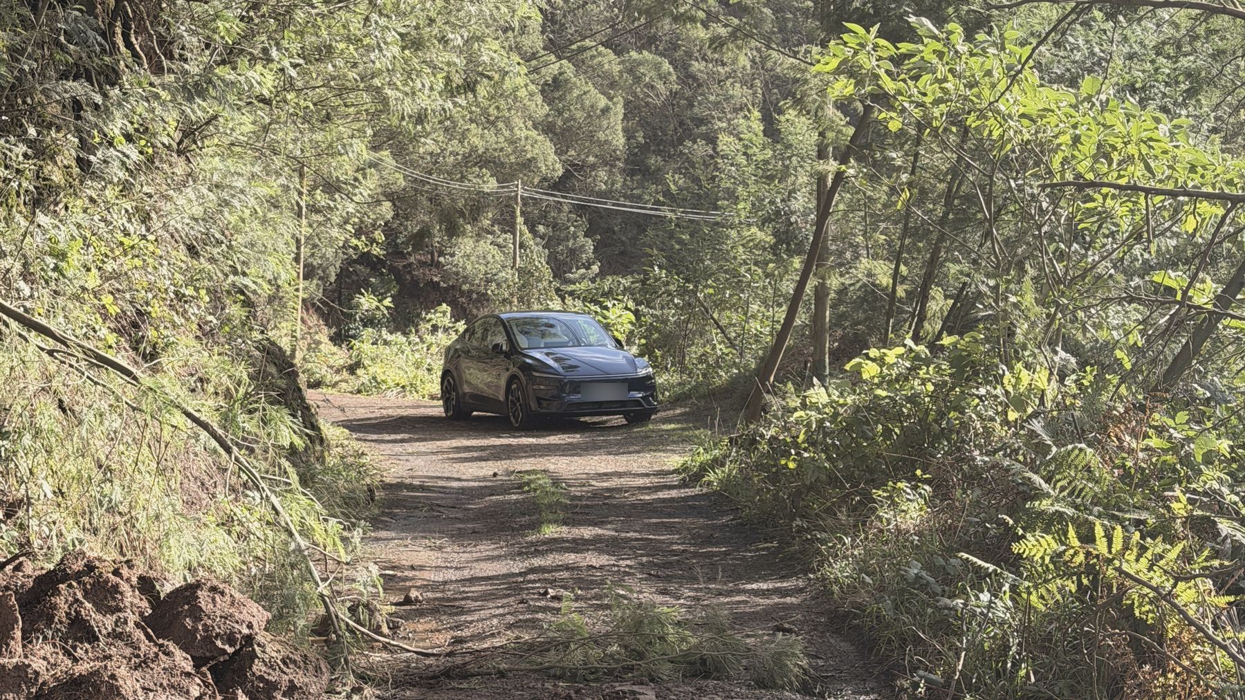 A dirt road through the laurel forest, the Tesla waiting further up