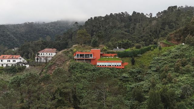 Santana, the villa among the trees