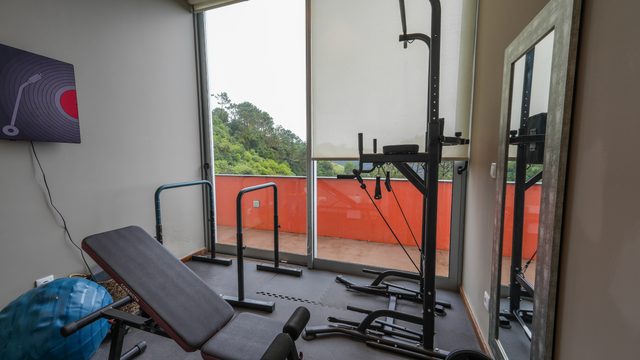 Gym by the window