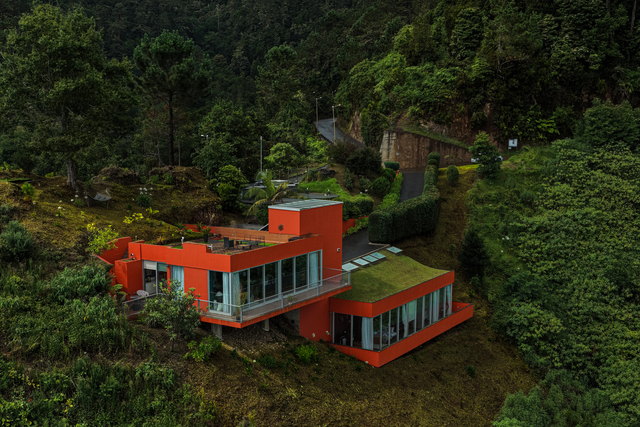 The villa stepped into the ridge, its roof planted