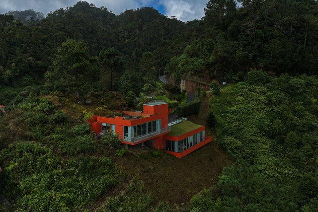 Set into the laurel forest