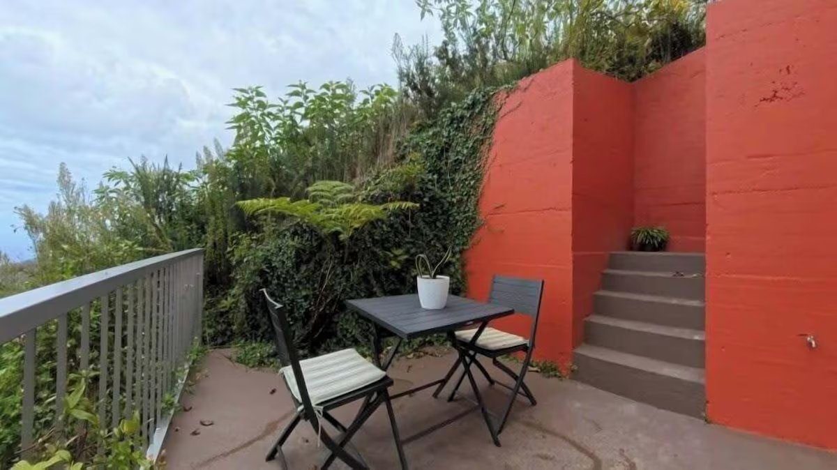 Outdoor table and chairs against the orange wall, with ivy and hillside plants