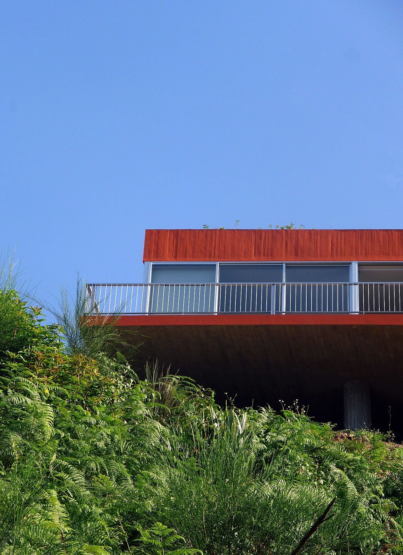 Orange cantilevered level over ferns, with glass doors and a thin metal rail