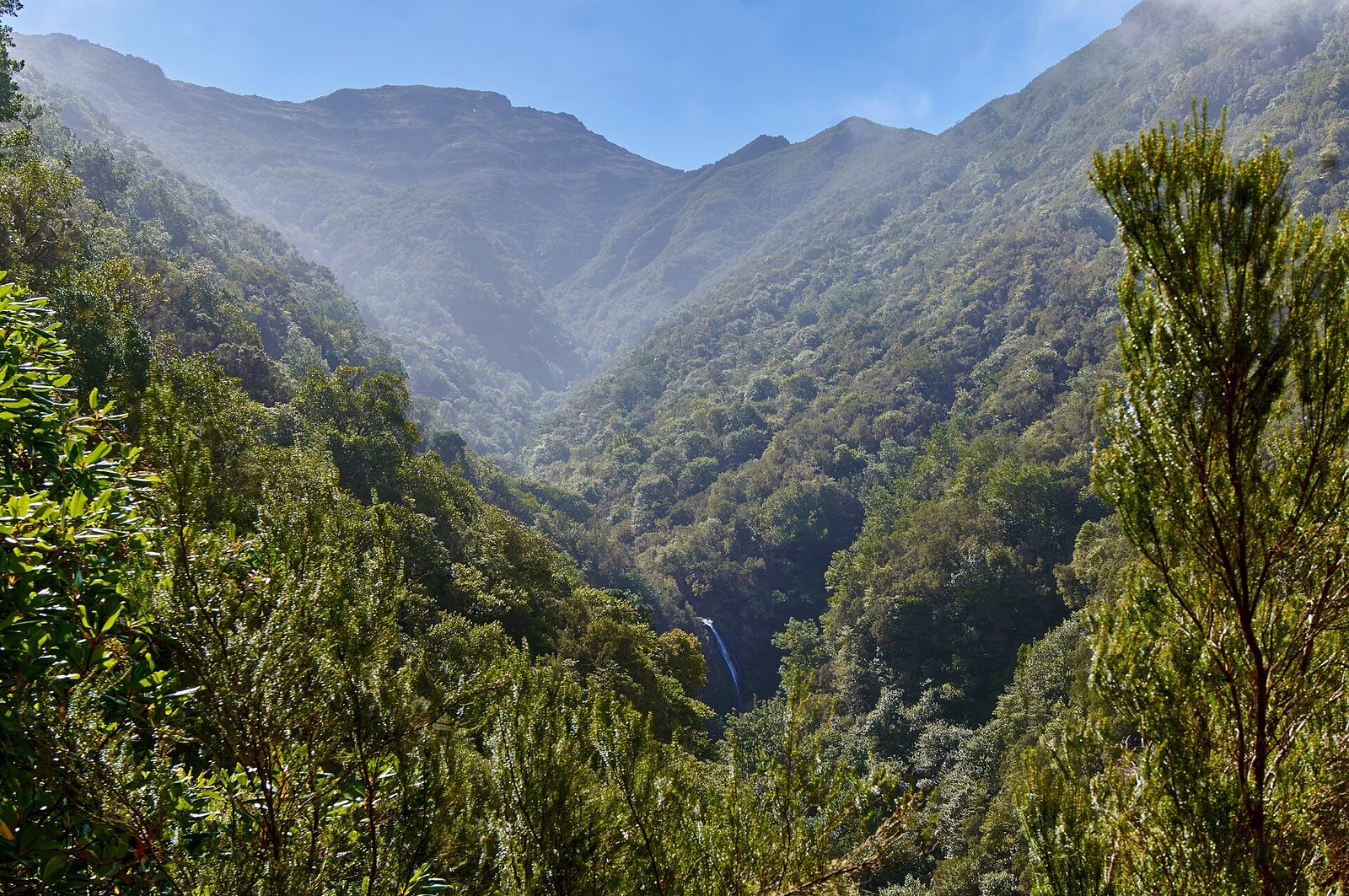 Levada do Caldeirão Verde in the green valleys of Madeira