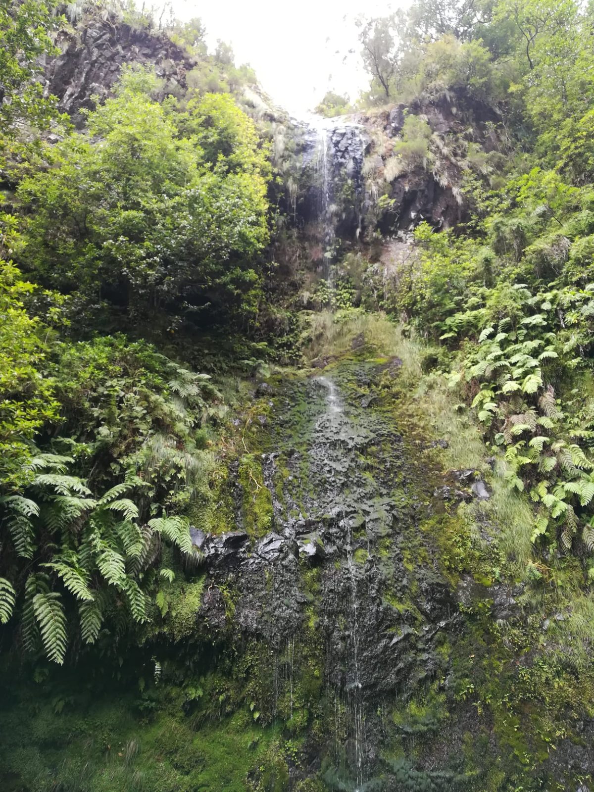 Caldeirão Verde waterfall, Madeira