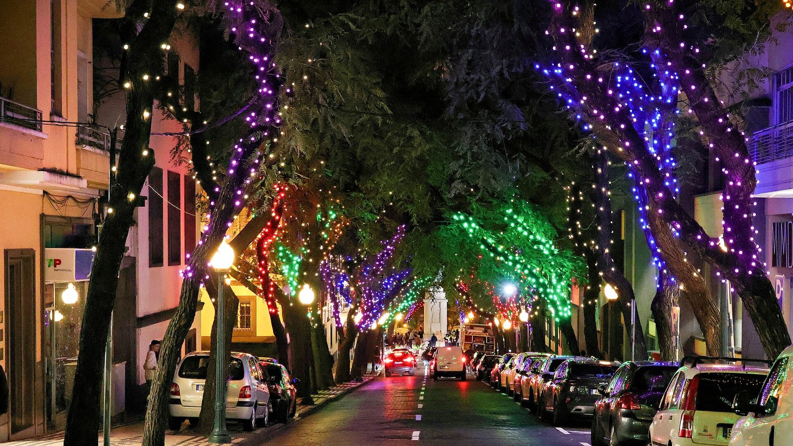 Christmas lights on Avenida Zarco in Funchal