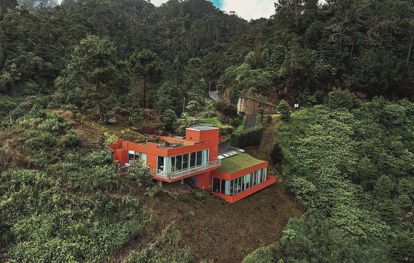 The house from above, its green roof set into the laurel forest