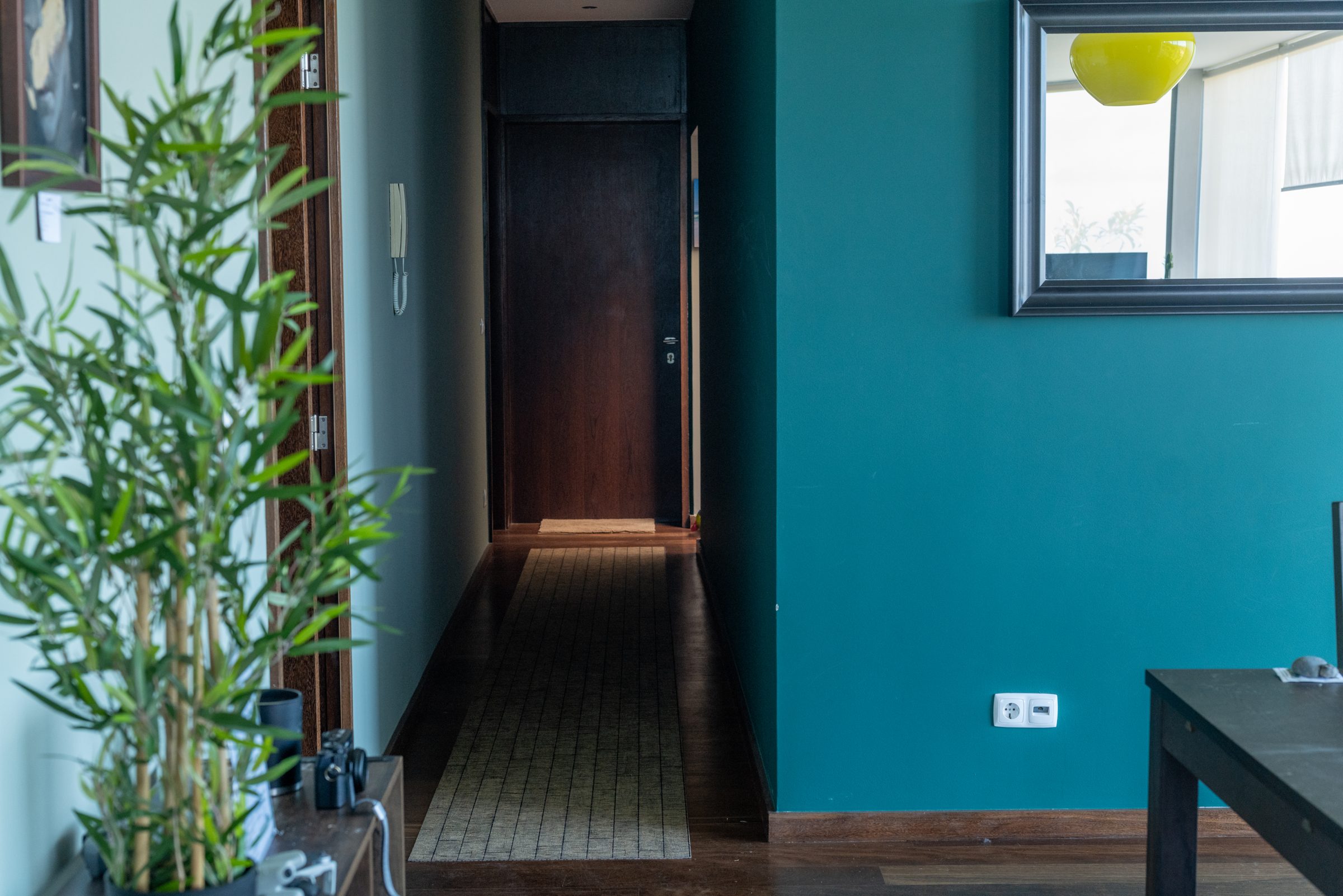 Hallway with a teal wall, framed mirror, bamboo plant, and a runner toward the far door